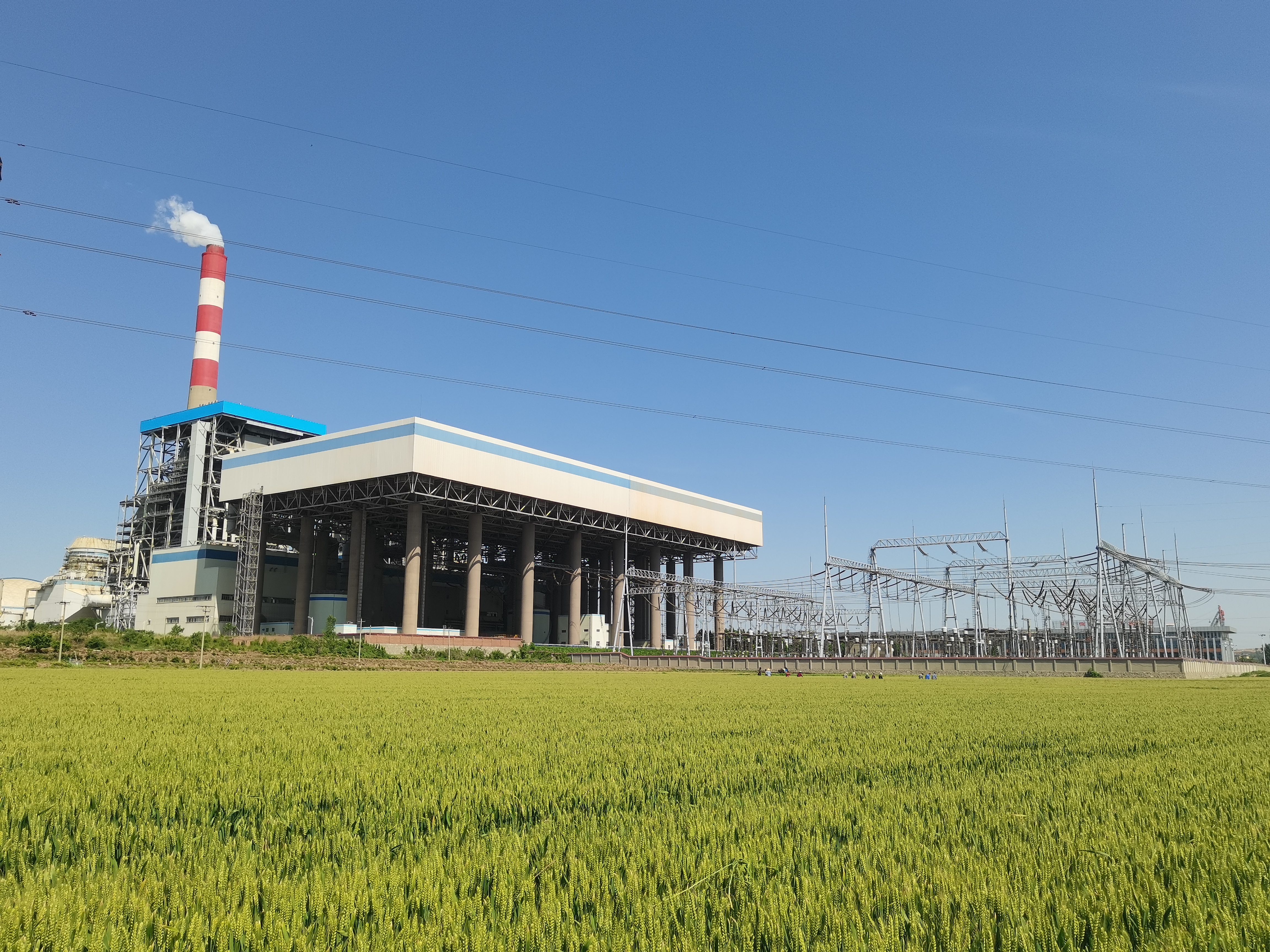 1685675040729905.jpg 麦田烟火.jpg